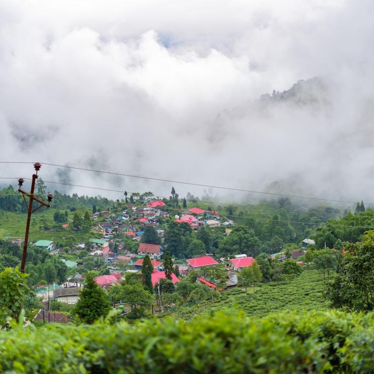 Family terraces and cafés for calm evenings in Lisbon